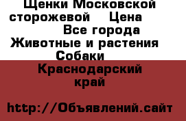 Щенки Московской сторожевой  › Цена ­ 25 000 - Все города Животные и растения » Собаки   . Краснодарский край